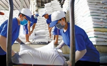 Có thể thu hồi giấy phép xuất khẩu gạo đối với thương nhân không thực hiện chế độ báo cáo