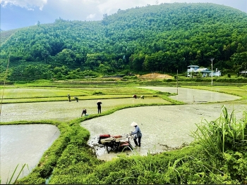 Chuyển giao khoa học - công nghệ đến vùng miền núi: Mở cánh cửa phát triển bền vững