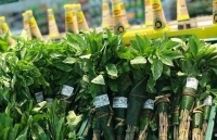 Saigon Co.op sử dụng vật liệu thân thiện môi trường: Tạo thói quen tích cực