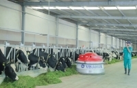 Doanh nghiệp sữa: Chủ động đón đầu công nghệ hiện đại