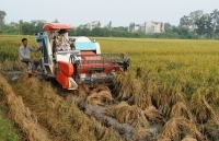 Ưu tiên chuyển giao công nghệ vào nông nghiệp