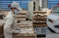 Giám sát tiến độ các đề án