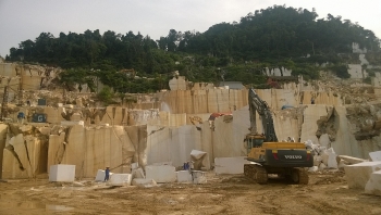 Năm 2025: Xử lý triệt để cơ sở gây ô nhiễm môi trường