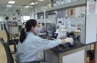 Bổ sung chính sách phù hợp