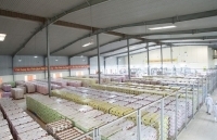 Tiết giảm chi phí sản xuất nhờ 5S