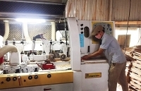 Bình Định: Sức hút từ 