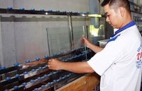 Hậu Giang: Hiệu quả nhờ đầu tư trọng điểm