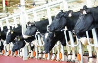 Nắm bắt công nghệ 4.0