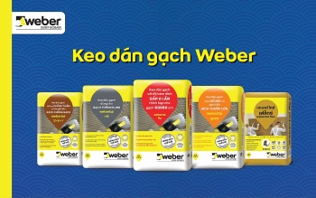Saint-Gobain Việt Nam công bố kết quả thực nghiệm độ bám dính giữa keo dán gạch và hồ dầu