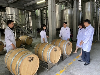 Sản xuất thử nghiệm rượu Whisky: Ưu tiên sử dụng nguyên liệu trong nước