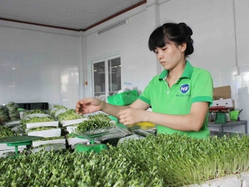 Thay đổi cách tiếp cận thực phẩm