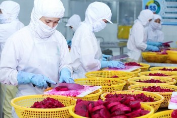 Công Thương qua góc nhìn báo chí ngày 8/8: Nhiều cơ hội cho nông sản Việt Nam sang các nước châu Âu