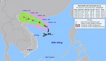 Bão số 2 diễn biến phức tạp, nhiều địa phương chủ động cấm biển