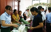 Hà Nội đẩy mạnh liên kết tiêu thụ nông sản, rau an toàn cho nông dân