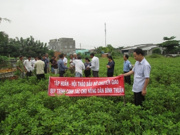 Viện Nghiên cứu Dầu và Cây có dầu: Bảo tồn và lưu giữ giống quý