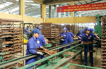 An toàn lao động để phát triển bền vững