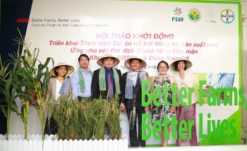 Bayer và các đối tác: Hỗ trợ nông dân ứng phó đại dịch Covid-19, hạn mặn