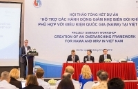 Hỗ trợ các hành động giảm nhẹ biến đổi khí hậu phù hợp với điều kiện của Việt Nam