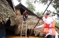 Ứng phó với biến đổi khí hậu tiến tới phát triển bền vững