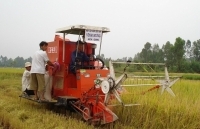 Công nghiệp phục vụ nông, lâm, ngư nghiệp: Bước phát triển tích cực