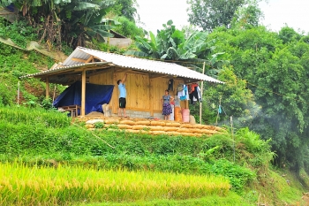 Huyện Mù Cang Chải (Yên Bái): Thay đổi tập quán canh tác