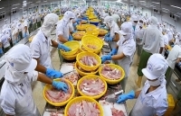 Bảo vệ thương hiệu Việt: Doanh nghiệp cần chủ động