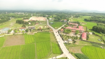 Nhiều mô hình sáng tạo, linh hoạt