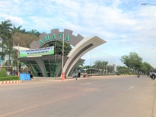 Đồng Nai tăng cường hợp tác và vận động viện trợ phi chính phủ nước ngoài