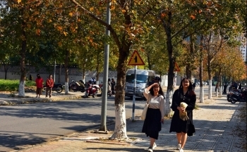 Hà Nội rực sắc phong lá đỏ