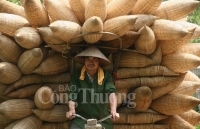 Đan đó Thủ Sỹ vẫn còn đó