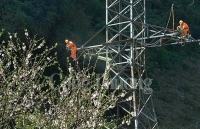 Mùa xuân trên những 