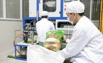 Xuất khẩu gạo năm 2020 đạt mục tiêu kép