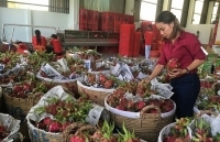 Chuyển hướng thị trường tiêu thụ trái cây