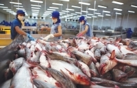 “Mắc cạn” vì Covid-19, doanh nghiệp thủy sản đề nghị tháo gỡ khó khăn