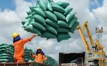 Xét chọn Doanh nghiệp xuất khẩu uy tín năm 2020
