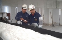 Năm 2021, đưa Nhà máy Điện phân Nhôm Đắk Nông vào hoạt động