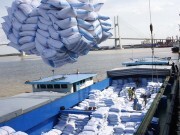Việt Nam trúng thầu cung cấp 130.000 tấn gạo cho Philippines