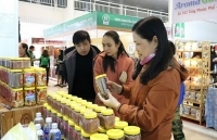 Kết nối hàng Việt đến với người tiêu dùng