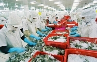 Xuất khẩu tôm vào Australia phải đáp ứng yêu cầu mới nào?