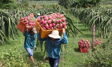 Bộ Công Thương mở thêm kênh tiêu thụ cho nông sản, thực phẩm Việt