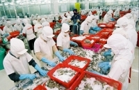 Kỳ vọng tăng xuất khẩu thủy sản sang EU nhờ EVFTA