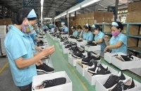Việt Nam xuất siêu mạnh sang EU