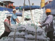 Việt Nam trúng phần lớn gói thầu xuất khẩu 250.000 tấn gạo sang Philippines