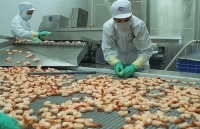 Xuất khẩu tôm nửa cuối năm 2019: Kỳ vọng khởi sắc