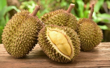 Cơ hội cho trái sầu riêng đông lạnh tăng hiện diện ở Australia