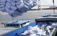 Trung Quốc đánh giá cao về cơ sở sản xuất, chế biến gạo của Việt Nam