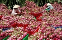 Sắp diễn ra Hội nghị phát triển xuất khẩu nông thủy sản sang Trung Quốc