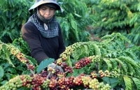 Đắk Nông: Công nghiệp, thương mại tăng trưởng ổn định