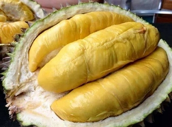 Đắk Lắk: 6 loại cây ăn quả được cấp mã số vùng trồng