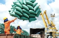 Chuyển hướng xuất khẩu gạo